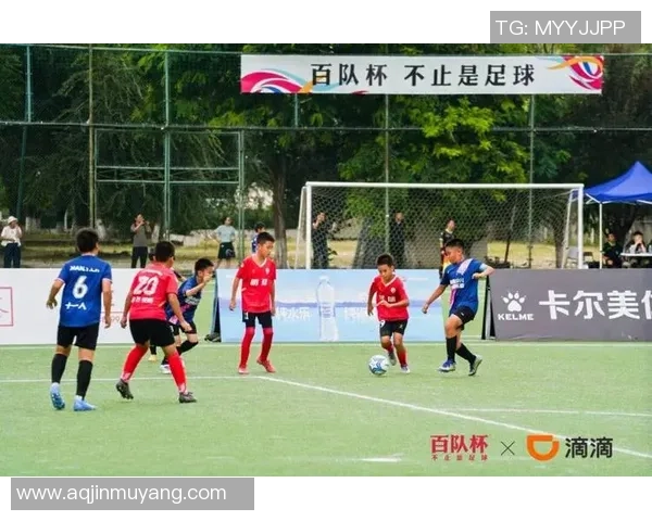 足球激情四溢从青训到职业联赛探讨中国足球的未来与挑战